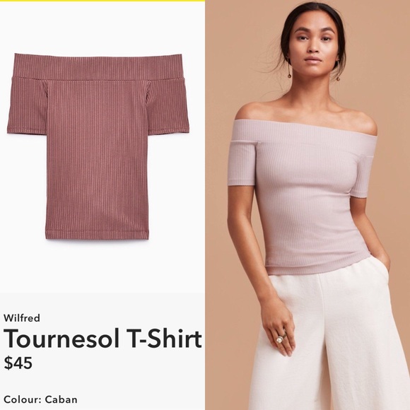Aritzia Tops - Aritzia Tournesol T-Shirt